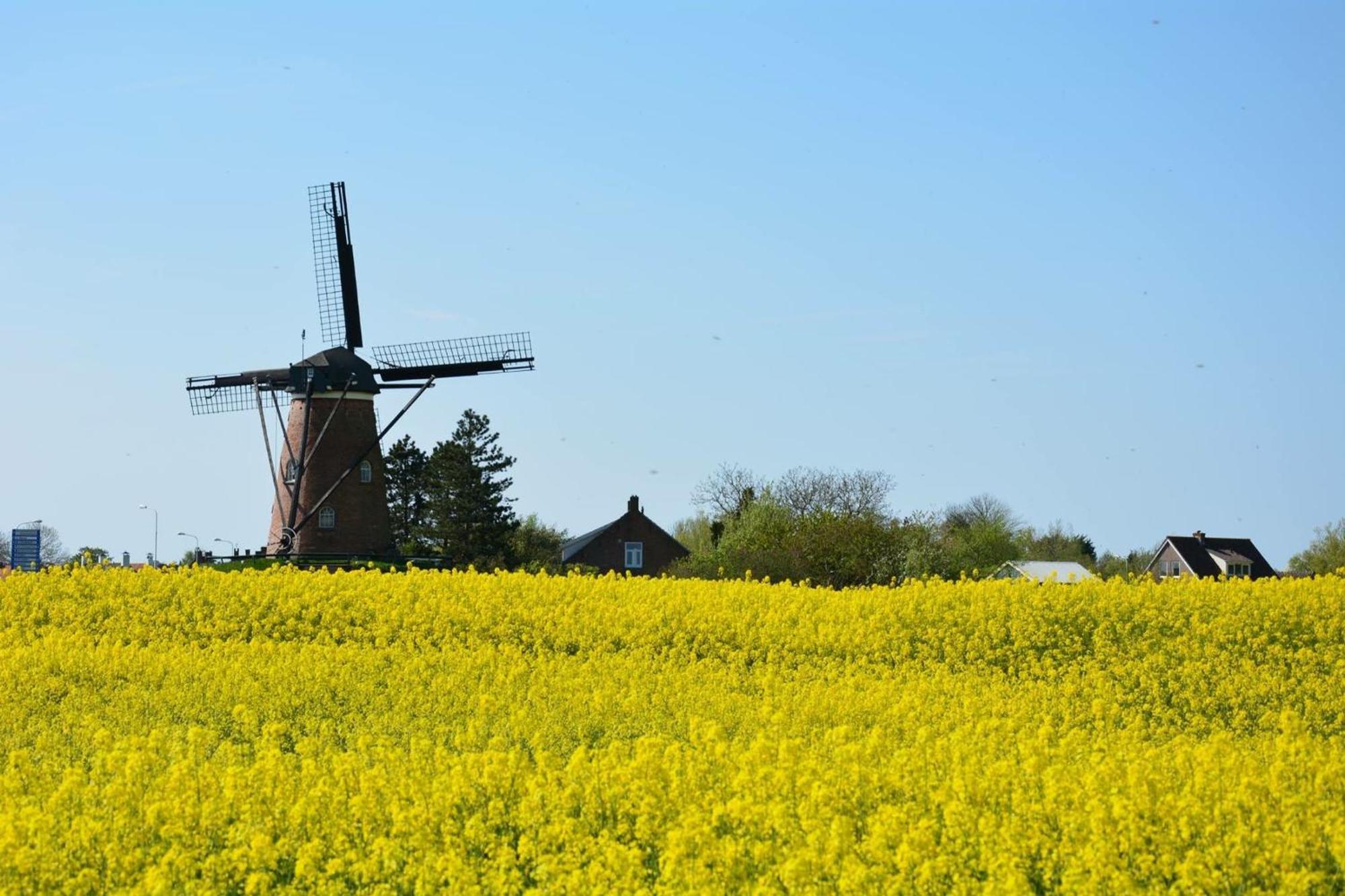Park Welgelegen, 28